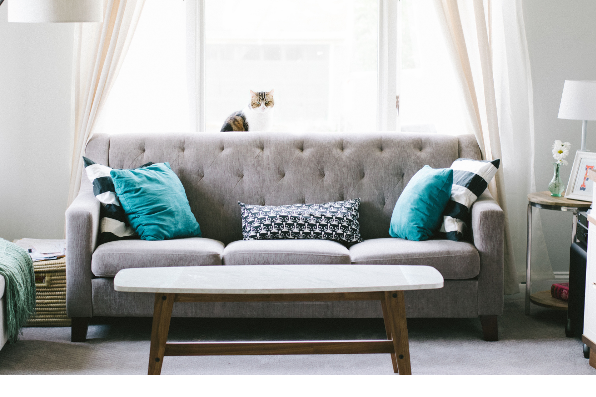 Jak wybrać wygodna i najwłaściwszą sofę dla Ciebie?