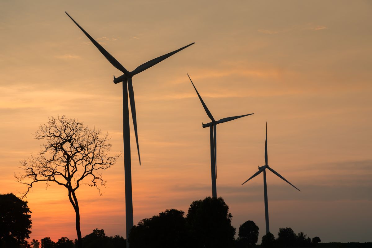 Jakie są odnawialne źródła energii? 